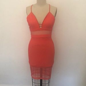 Bebe Pink Body Con Net Dress w/ Exposed Zipper
